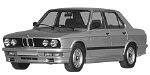 BMW E28 P0A80 Fault Code
